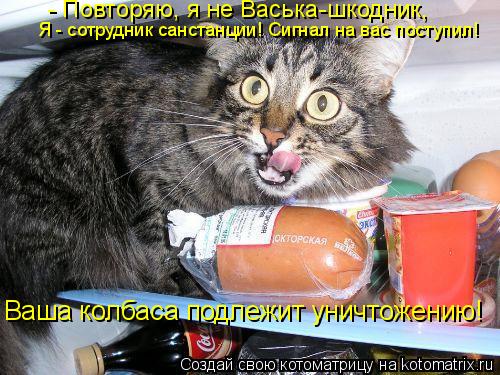 - Повторяю, я не Васька-шкодник, Я - сотрудник санстанции! Сигнал на вас поступил! Ваша колбаса подле... Котоматрица: - Повторяю, я не Васька-шкодник, Я - сотрудник санстанции! Сигнал на вас поступил! Ваша колбаса подлежит уничтожению!