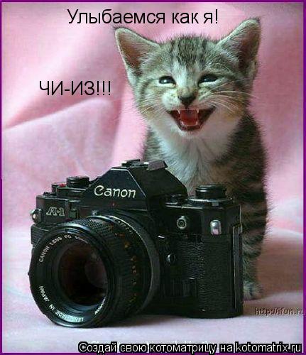 Улыбаемся как я! ЧИ-ИЗ!!!... Котоматрица: Улыбаемся как я! ЧИ-ИЗ!!!