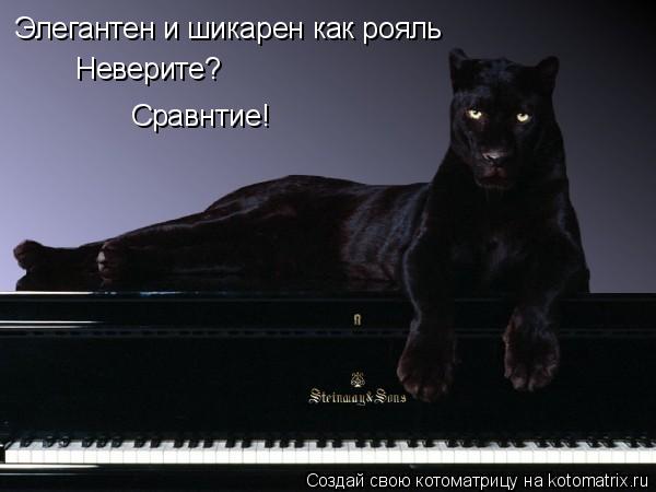 Элегантен и шикарен как рояль Неверите? Сравнтие!... Котоматрица: Элегантен и шикарен как рояль Неверите? Сравнтие!
