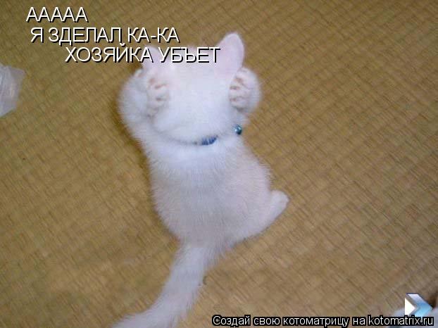ААААА Я ЗДЕЛАЛ КА-КА ХОЗЯЙКА УБЪЕТ... Котоматрица: ААААА Я ЗДЕЛАЛ КА-КА ХОЗЯЙКА УБЪЕТ