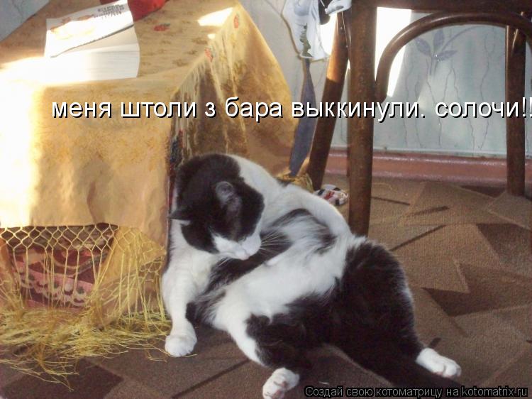 меня штоли з бара выккинули. солочи!!!... Котоматрица: меня штоли з бара выккинули. солочи!!!