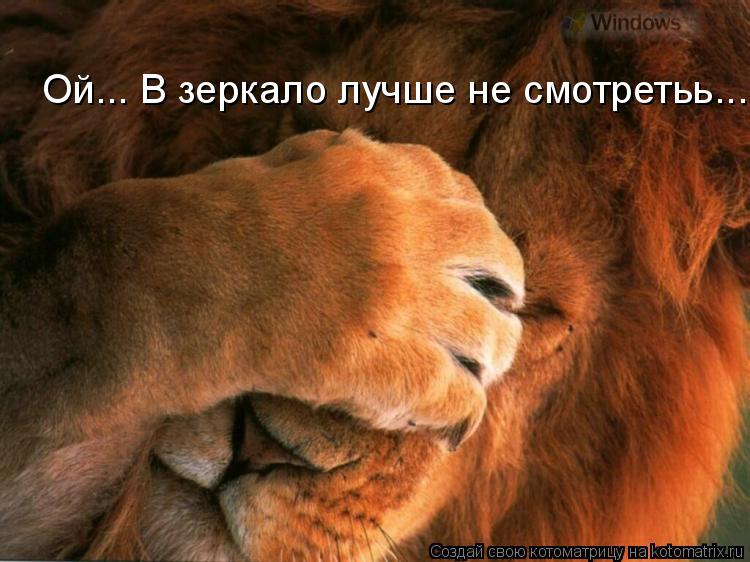 Ой... В зеркало лучше не смотретьь...... Котоматрица: Ой... В зеркало лучше не смотретьь...
