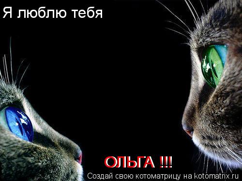 Я люблю тебя ОЛЬГА !!! ОЛЬГА !!!... Котоматрица: Я люблю тебя ОЛЬГА !!! ОЛЬГА !!!