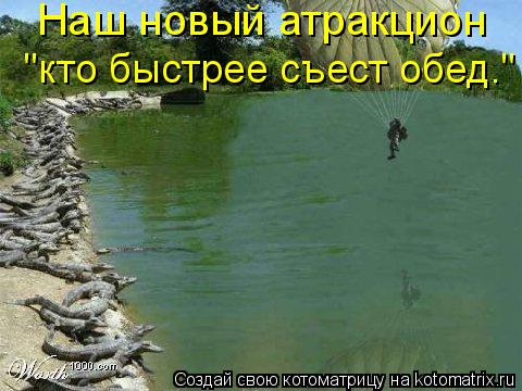 "кто быстрее съест обед." Наш новый атракцион... Котоматрица: "кто быстрее съест обед." Наш новый атракцион