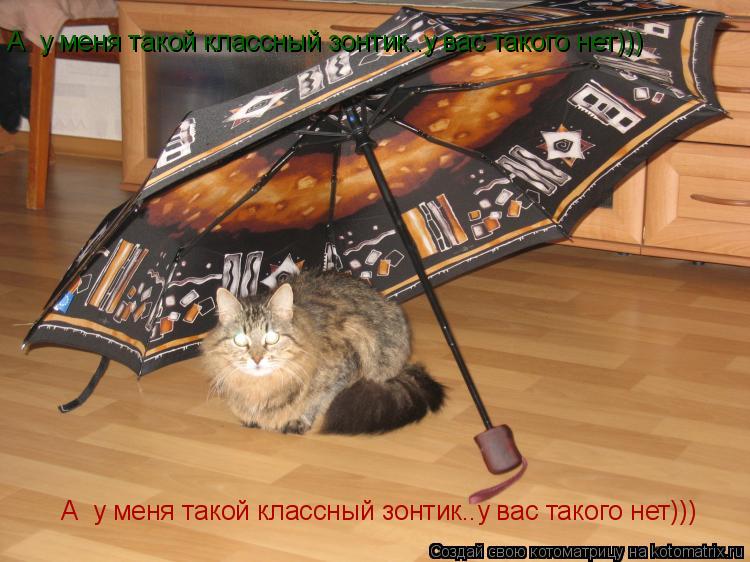 А у меня такой классный зонтик..у вас такого нет))) А у меня такой классный зонтик..у вас такого не... Котоматрица: А у меня такой классный зонтик..у вас такого нет))) А у меня такой классный зонтик..у вас такого нет)))