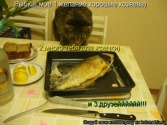 Рыбка! мое 1 желание хорошие хозяева) 2:много тебя для жрачки) и 3:друзейййййй!!!... Котоматрица: Рыбка! мое 1 желание хорошие хозяева) 2:много тебя для жрачки) и 3:друзейййййй!!!