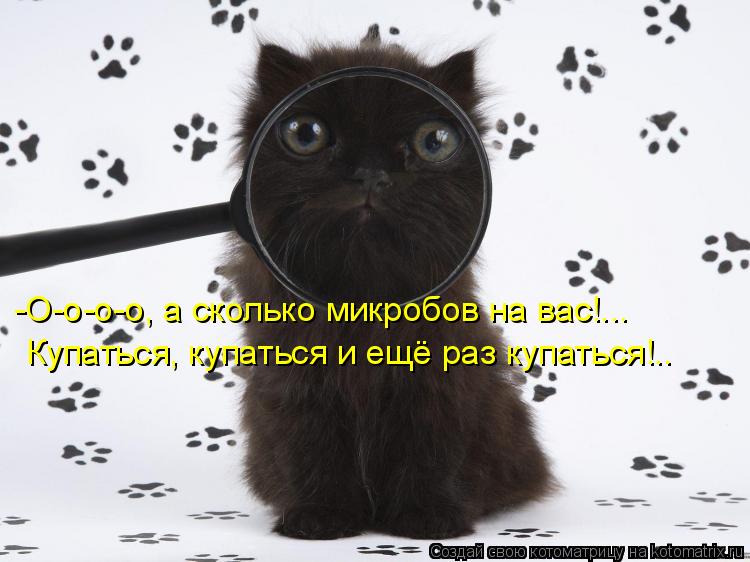 -О-о-о-о, а сколько микробов на вас!... Купаться, купаться и ещё раз купаться!..... Котоматрица: -О-о-о-о, а сколько микробов на вас!... Купаться, купаться и ещё раз купаться!..