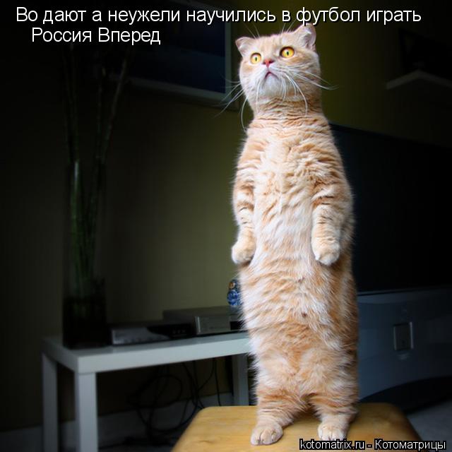 Во дают а неужели научились в футбол играть Россия Вперед... Котоматрица: Во дают а неужели научились в футбол играть Россия Вперед