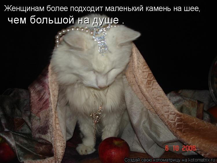 Женщинам более подходит маленький камень на шее, чем большой на душе .... Котоматрица: Женщинам более подходит маленький камень на шее, чем большой на душе .