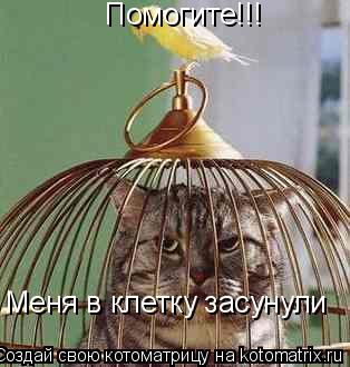 Помогите!!! Меня в клетку засунули... Котоматрица: Помогите!!! Меня в клетку засунули