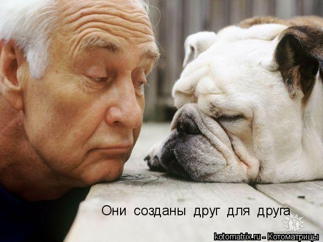 Они созданы друг для друга... Котоматрица: Они созданы друг для друга