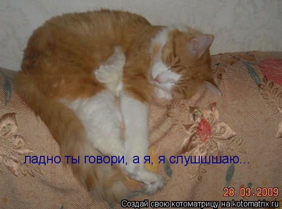 ладно ты говори, а я, я слушшшаю...... Котоматрица: ладно ты говори, а я, я слушшшаю...
