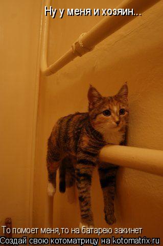 Ну у меня и хозяин... То помоет меня,то на батарею закинет... Котоматрица: Ну у меня и хозяин... То помоет меня,то на батарею закинет