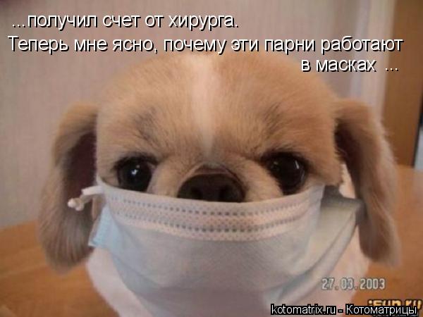...получил счет от хирурга. Теперь мне ясно, почему эти парни работают в масках ...... Котоматрица: ...получил счет от хирурга. Теперь мне ясно, почему эти парни работают в масках ...
