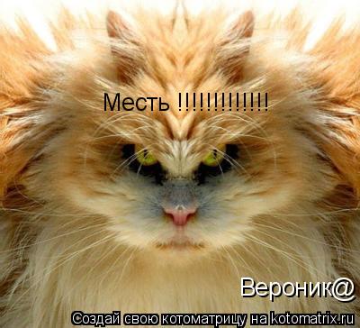 Месть !!!!!!!!!!!!! Вероник@... Котоматрица: Месть !!!!!!!!!!!!! Вероник@