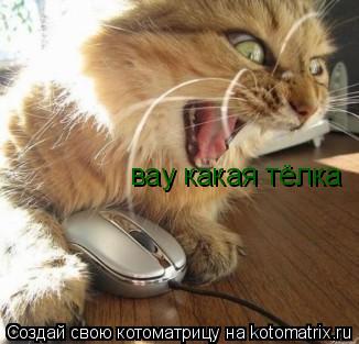 вау какая тёлка... Котоматрица: вау какая тёлка