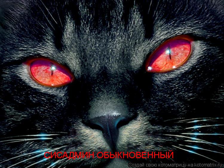 СИСАДМИН ОБЫКНОВЕННЫЙ... Котоматрица: СИСАДМИН ОБЫКНОВЕННЫЙ