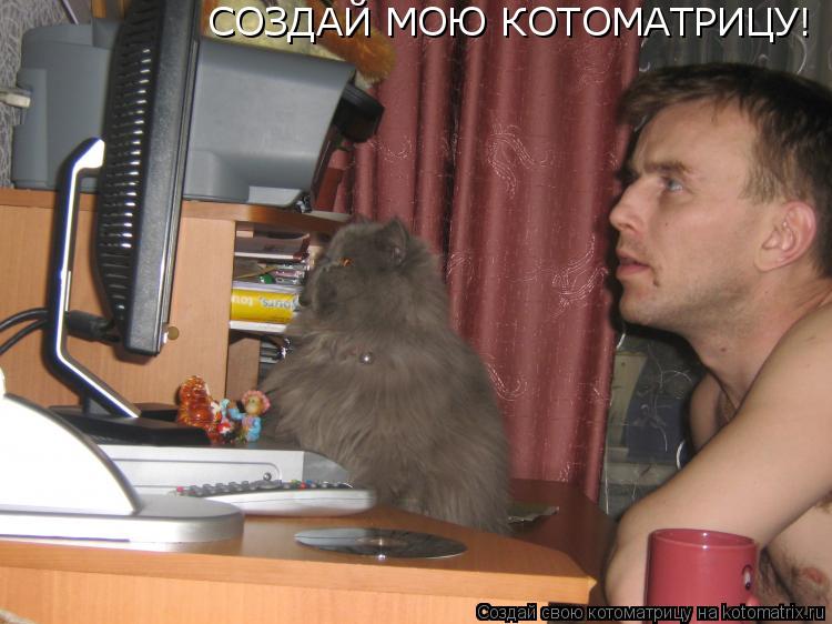 СОЗДАЙ МОЮ КОТОМАТРИЦУ!... Котоматрица: СОЗДАЙ МОЮ КОТОМАТРИЦУ!