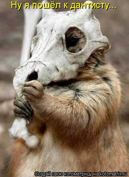 Ну я пошёл к дантисту...... Котоматрица: Ну я пошёл к дантисту...