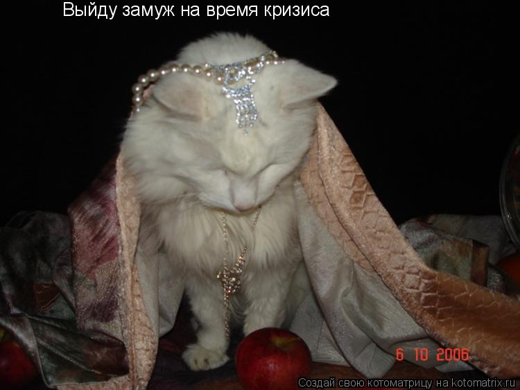 Выйду замуж на время кризиса... Котоматрица: Выйду замуж на время кризиса