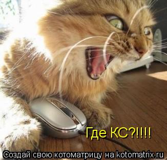 Где КС?!!!!... Котоматрица: Где КС?!!!!
