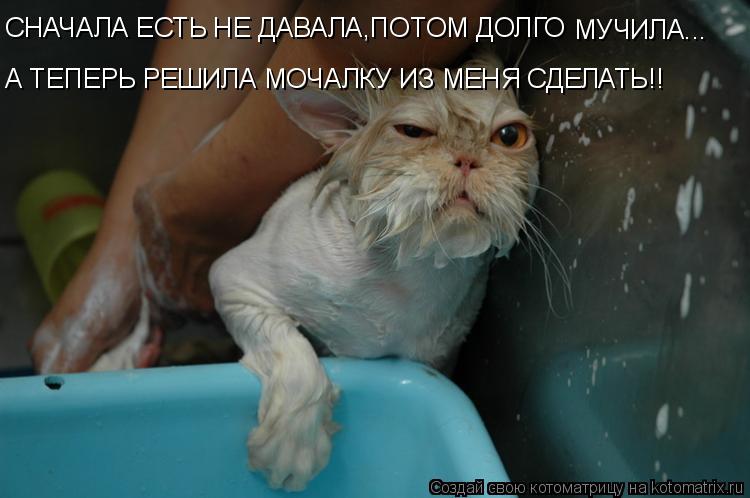 СНАЧАЛА ЕСТЬ НЕ ДАВАЛА,ПОТОМ ДОЛГО МУЧИЛА... А ТЕПЕРЬ РЕШИЛА МОЧАЛКУ ИЗ МЕНЯ СДЕЛАТЬ!!... Котоматрица: СНАЧАЛА ЕСТЬ НЕ ДАВАЛА,ПОТОМ ДОЛГО МУЧИЛА... А ТЕПЕРЬ РЕШИЛА МОЧАЛКУ ИЗ МЕНЯ СДЕЛАТЬ!!