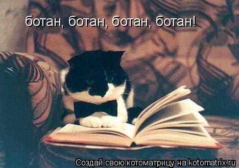 ботан, ботан, ботан, ботан!... Котоматрица: ботан, ботан, ботан, ботан!