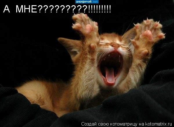 А МНЕ?????????!!!!!!!!!... Котоматрица: А МНЕ?????????!!!!!!!!!