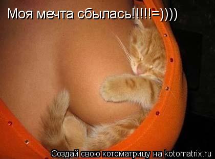 Моя мечта сбылась!!!!!=))))... Котоматрица: Моя мечта сбылась!!!!!=))))