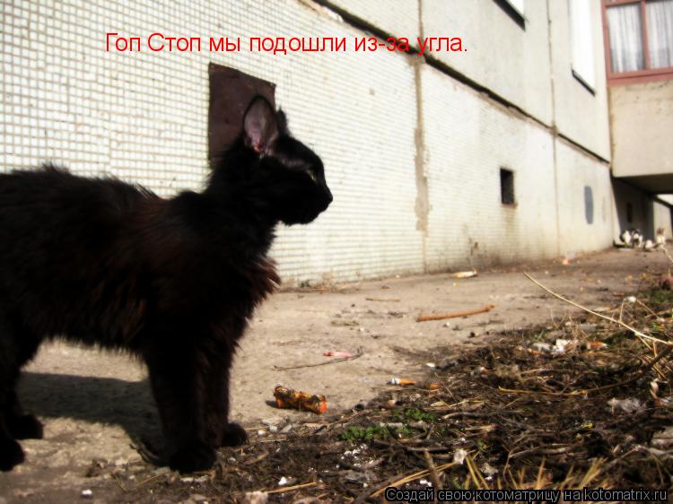 Гоп Стоп мы подошли из-за угла.... Котоматрица: Гоп Стоп мы подошли из-за угла.