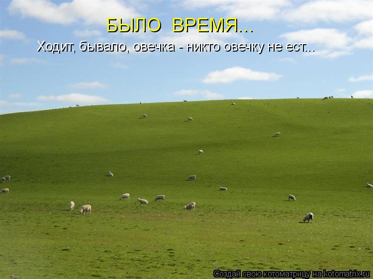 Ходит, бывало, овечка - никто овечку не ест... БЫЛО ВРЕМЯ...... Котоматрица: Ходит, бывало, овечка - никто овечку не ест... БЫЛО ВРЕМЯ...