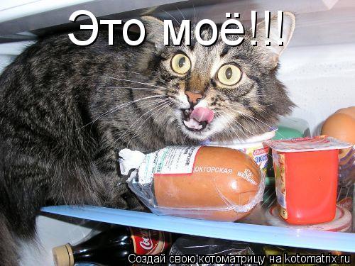 Это моё!!!... Котоматрица: Это моё!!!