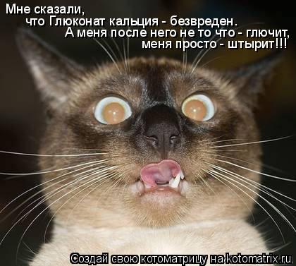 Котоматрица: Мне сказали,  что Глюконат кальция - безвреден. А меня после него не то что - глючит, меня просто - штырит!!!
