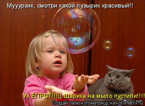 Котоматрица: Мууурзик, смотри какой пузырик красивый!! Ух ЕПРСТ!!!!! Шарика на мыло пустили!!!!