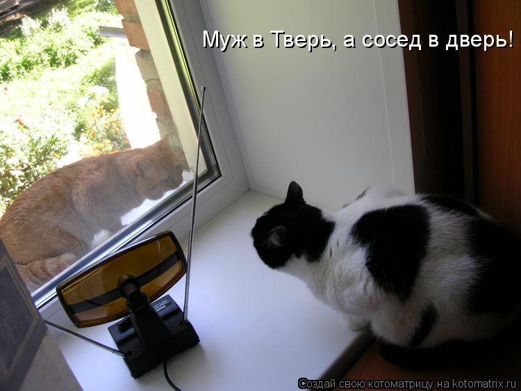 Муж в Тверь, а сосед в дверь!... Котоматрица: Муж в Тверь, а сосед в дверь!
