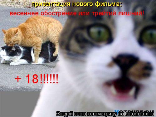 весеннее обострение или трейтий лишний! призентация нового фильма: призентация нового фильма: + 18!!!... Котоматрица: весеннее обострение или трейтий лишний! призентация нового фильма: призентация нового фильма: + 18!!!!!!