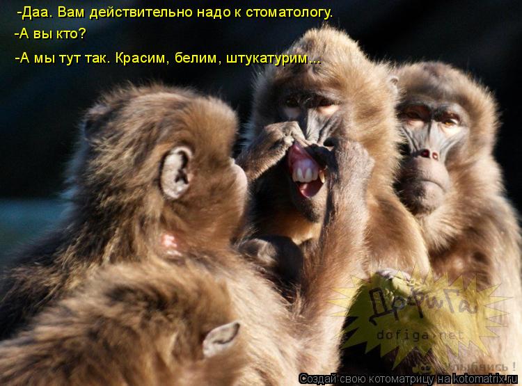-Даа. Вам действительно надо к стоматологу. -А вы кто? -А мы тут так. Красим, белим, штукатурим...... Котоматрица: -Даа. Вам действительно надо к стоматологу. -А вы кто? -А мы тут так. Красим, белим, штукатурим...