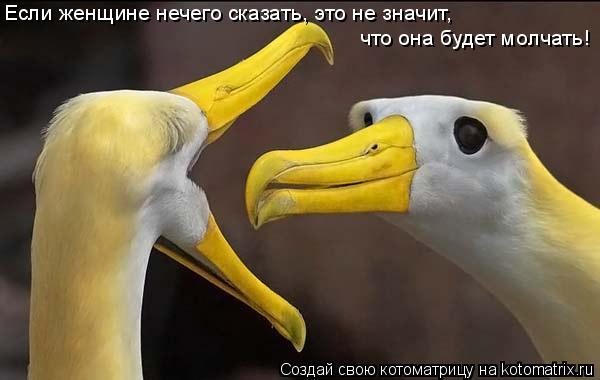Если женщине нечего сказать, это не значит, что она будет молчать!... Котоматрица: Если женщине нечего сказать, это не значит, что она будет молчать!