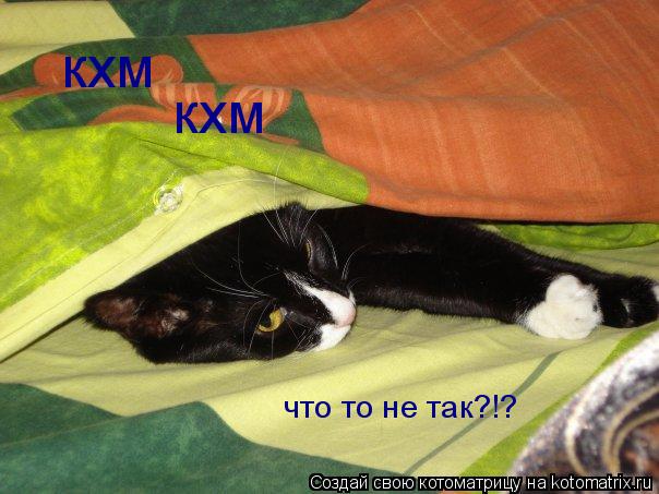 кхм кхм что то не так?!?... Котоматрица: кхм кхм что то не так?!?