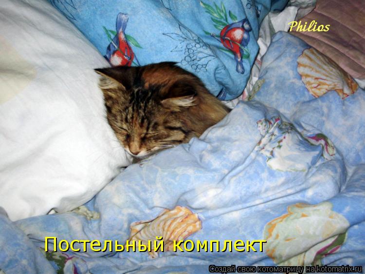 Постельный комплект... Котоматрица: Постельный комплект