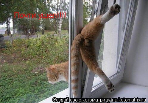 Почти ушел!!!!... Котоматрица: Почти ушел!!!!