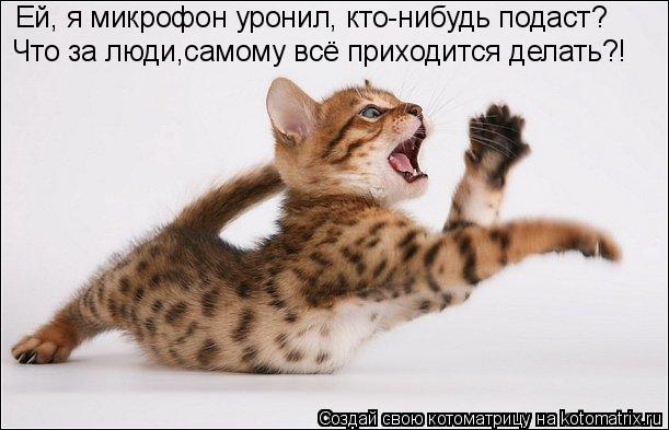 Ей, я микрофон уронил, кто-нибудь подаст? Что за люди,самому всё приходится делать?!... Котоматрица: Ей, я микрофон уронил, кто-нибудь подаст? Что за люди,самому всё приходится делать?!