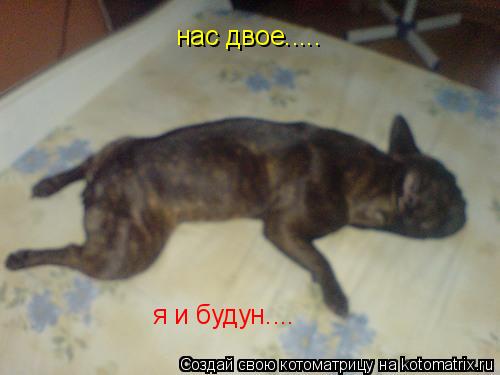 нас двое..... я и будун....... Котоматрица: нас двое..... я и будун....
