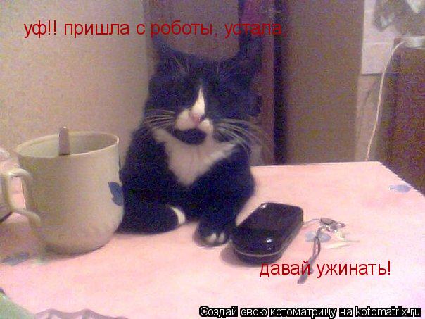 уф!! пришла с роботы, уф!! пришла с роботы, устала, давай ужинать!... Котоматрица: уф!! пришла с роботы, уф!! пришла с роботы, устала, давай ужинать!