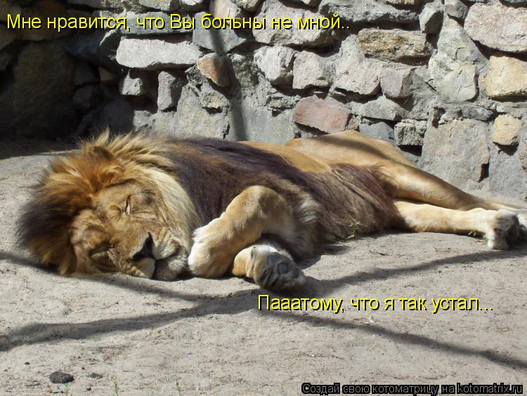Мне нравится, что Вы больны не мной.. Пааатому, что я так устал...... Котоматрица: Мне нравится, что Вы больны не мной.. Пааатому, что я так устал...