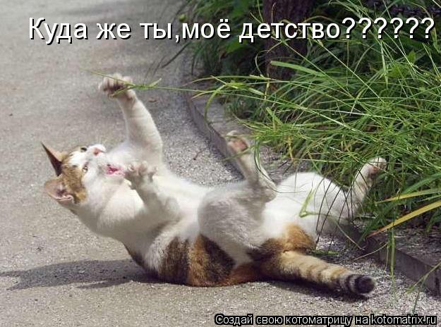 Куда же ты,моё детство??????... Котоматрица: Куда же ты,моё детство??????