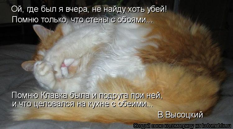 Ой, где был я вчера, не найду хоть убей! Помню только, что стены с обоями... Помню Клавка была и по... Котоматрица: Ой, где был я вчера, не найду хоть убей! Помню только, что стены с обоями... Помню Клавка была и подруга при ней, и что целовался на кухне с обе