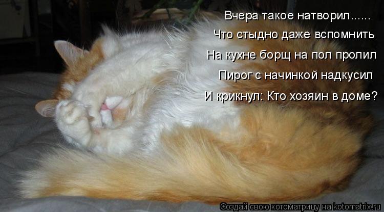 Вчера такое натворил...... Что стыдно даже вспомнить На кухне борщ на пол пролил Пирог с начинкой над... Котоматрица: Вчера такое натворил...... Что стыдно даже вспомнить На кухне борщ на пол пролил Пирог с начинкой надкусил И крикнул: Кто хозяин в доме?