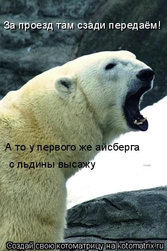За проезд там сзади передаём! А то у первого же айсберга с льдины высажу... Котоматрица: За проезд там сзади передаём! А то у первого же айсберга с льдины высажу