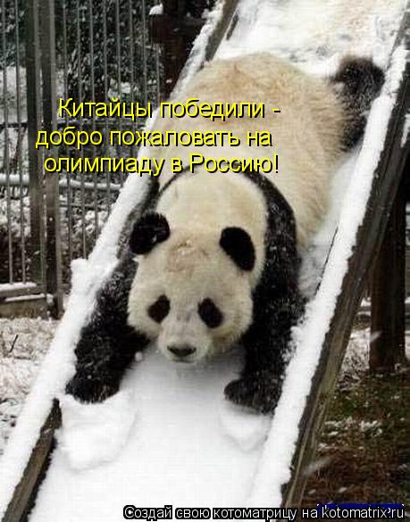 Китайцы победили - добро пожаловать на олимпиаду в Россию!... Котоматрица: Китайцы победили - добро пожаловать на олимпиаду в Россию!